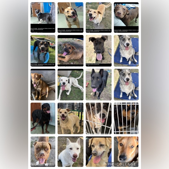 Like for show notifications! - Picture 5 of 6